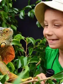 A smiling child wearing a hat and green shirt looks closely at an iguana perched on a branch surrounded by green leaves, capturing the wonder you’d find as you explore Kilkenny Animated Festival.