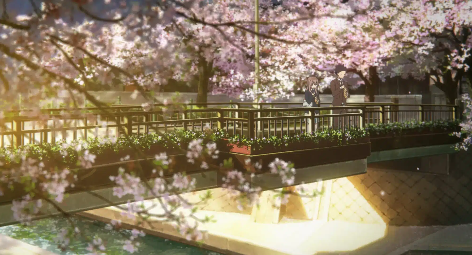 Two people stand on a bridge under blooming cherry blossom trees, with petals floating in the air and sunlight illuminating the scene. Water flows under the bridge, and greenery lines the railings. The setting feels peaceful and serene.