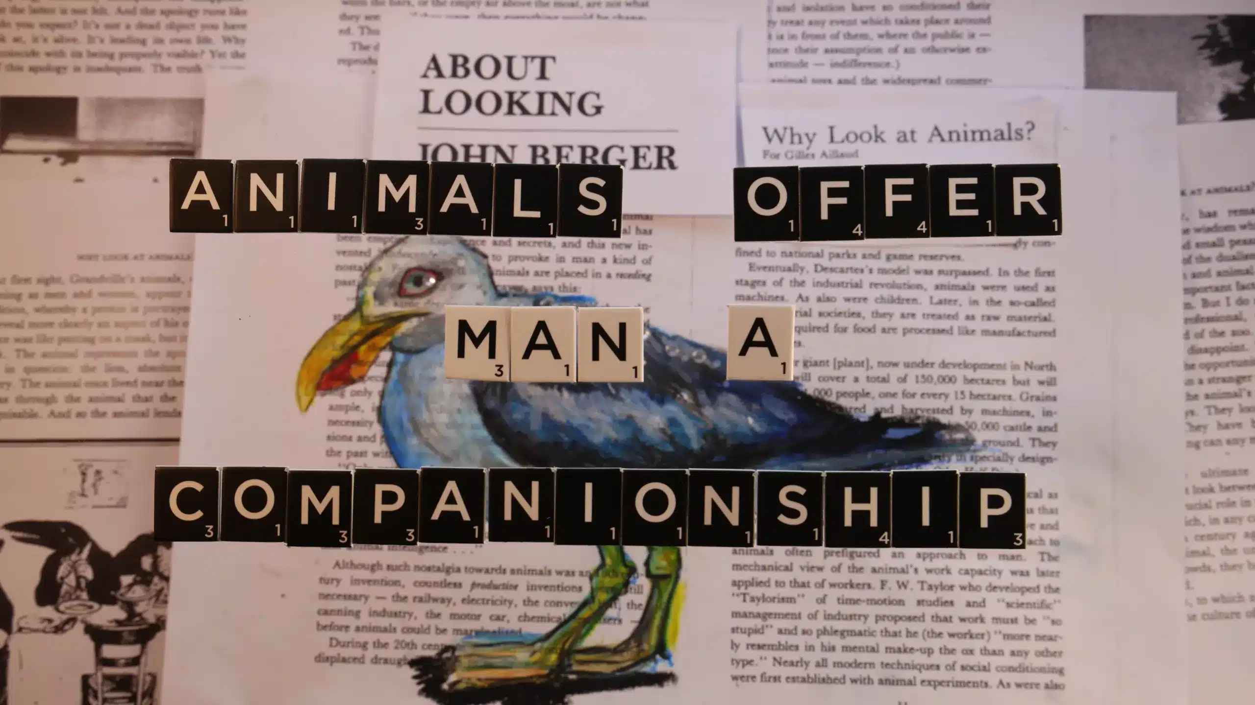 Scrabble tiles spell “Animals offer man a companionship” over an illustration of a bird, with book pages about John Berger and animals as the background.