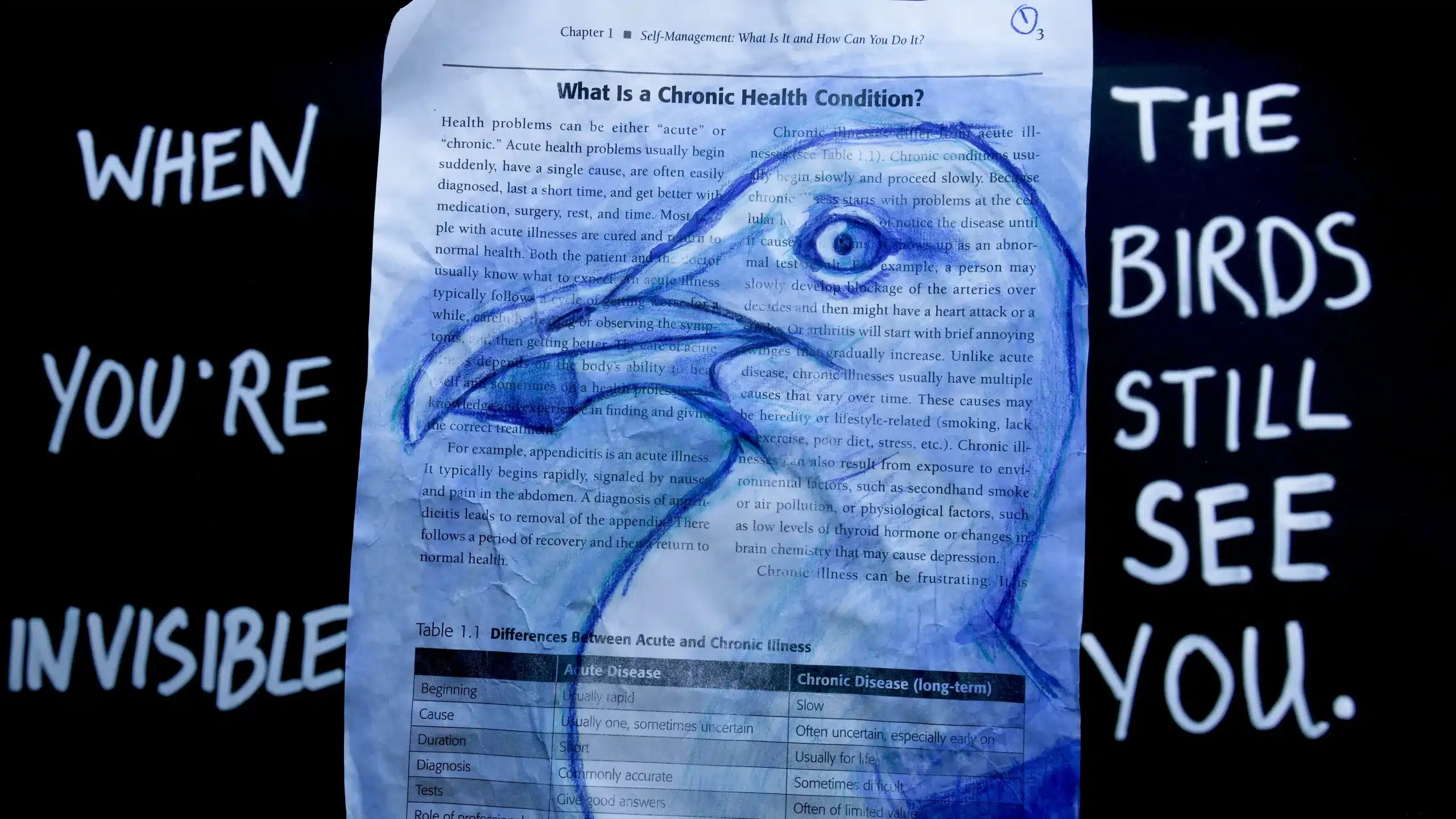A blue bird is sketched over a printed page about chronic health conditions. The background is dark, with white text reading, "WHEN YOU'RE INVISIBLE, THE BIRDS STILL SEE YOU.